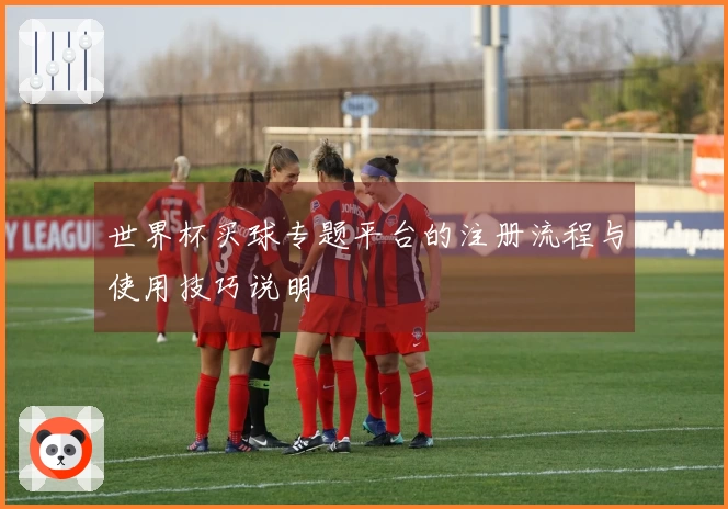 世界杯买球专题平台的注册流程与使用技巧说明