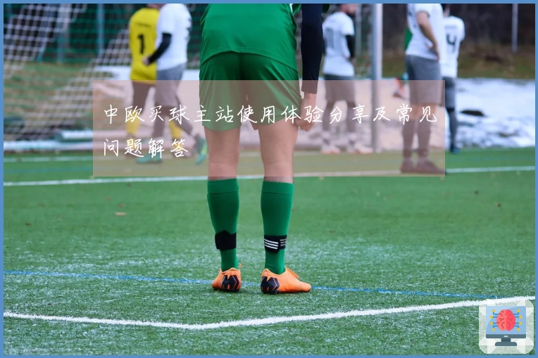 中欧买球主站使用体验分享及常见问题解答