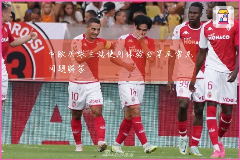中欧买球主站使用体验分享及常见问题解答