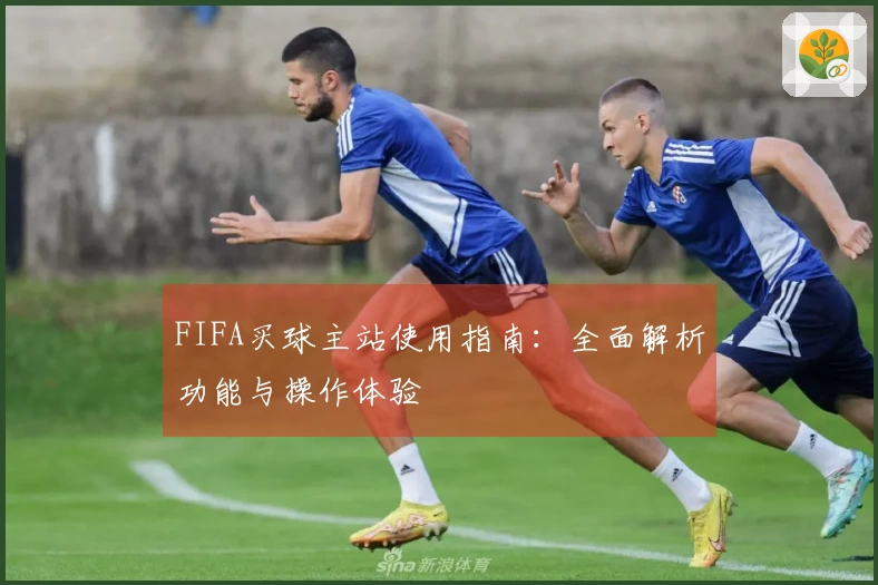 FIFA买球主站使用指南:全面解析功能与操作体验