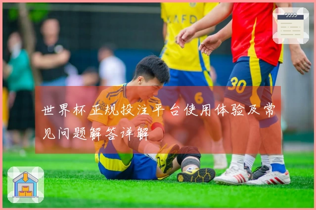 世界杯正规投注平台使用体验及常见问题解答详解