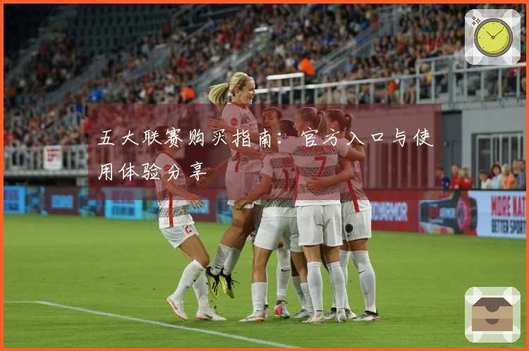 五大联赛购买指南：官方入口与使用体验分享